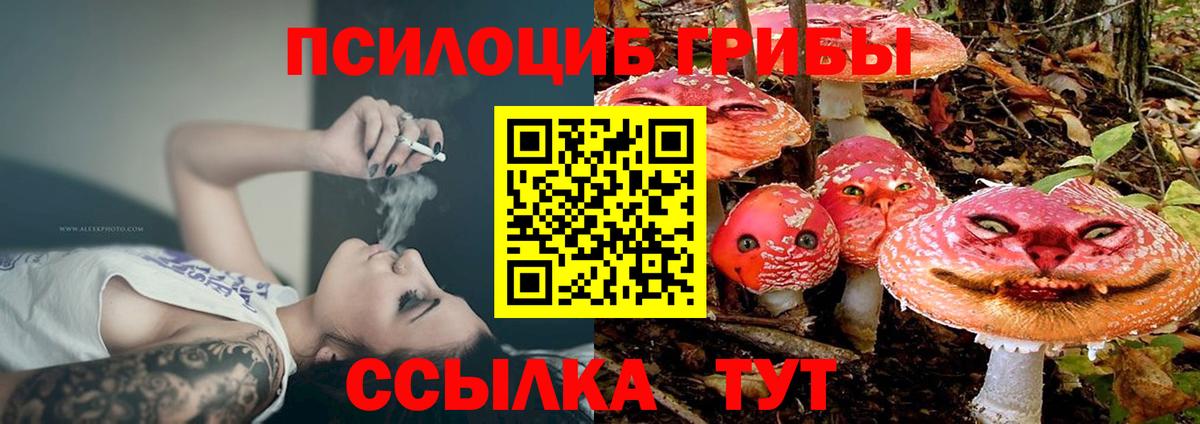 Галлюциногенные грибы Cubensis Тобольск